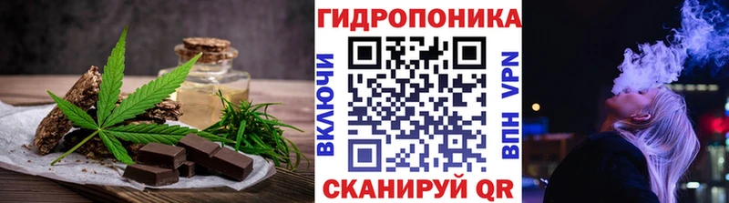 darknet Telegram  Серов  Canna-Cookies марихуана 