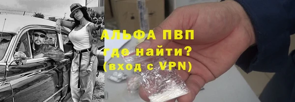 бошки Белокуриха