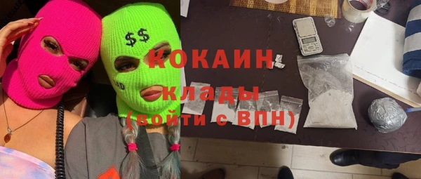 бошки Белокуриха