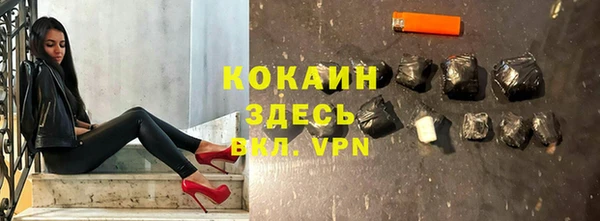 бошки Белокуриха
